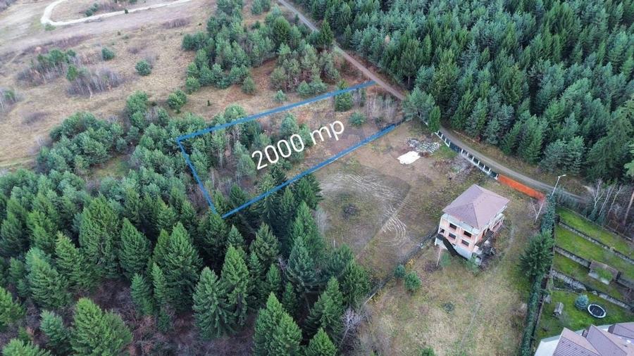 Teren 2,000mp Sacele / Strada Valea Larga - 1
