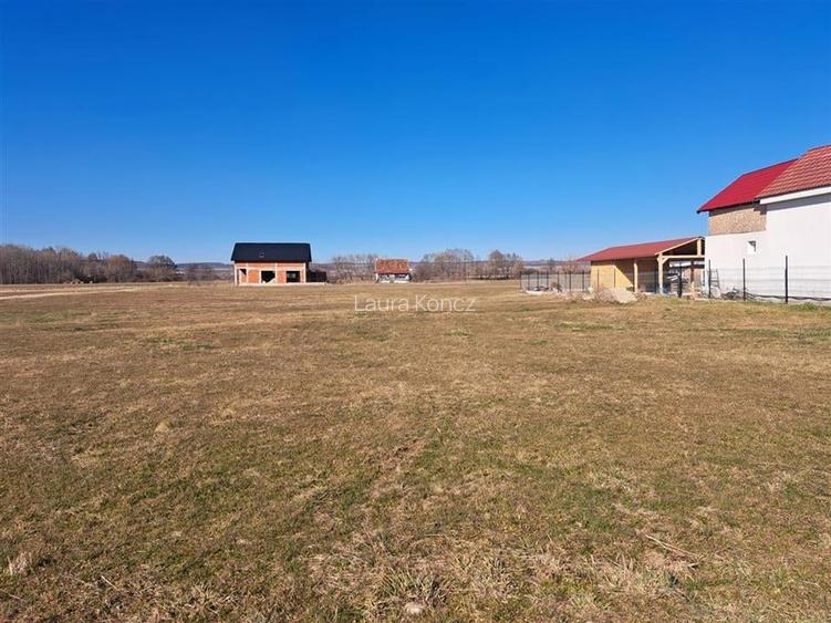Teren Construcții intravilan de 1000 mp, în Săbolciu