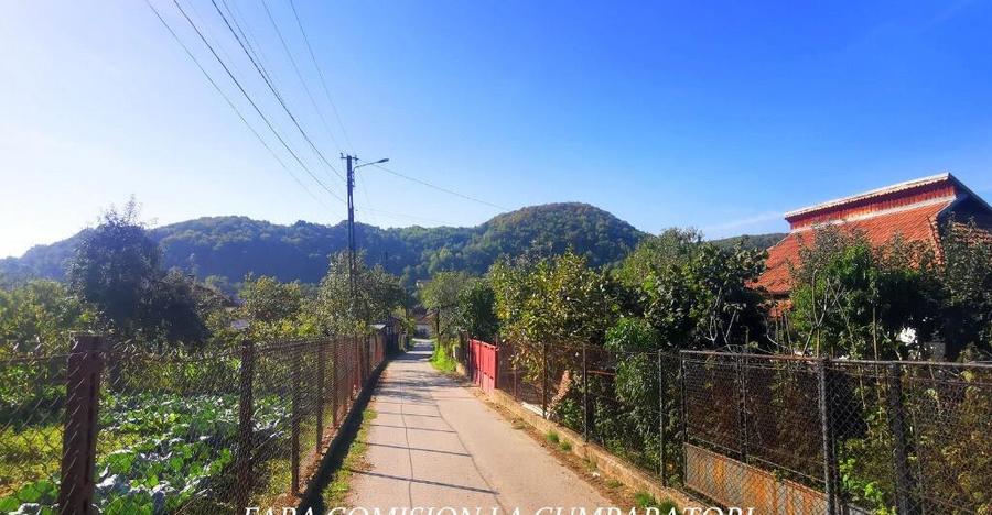 VLADESTI - TEREN 1174 MP - 7