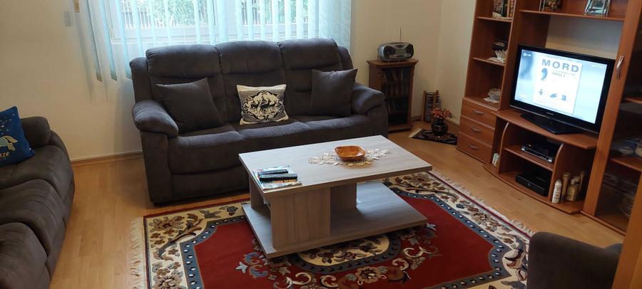 Casa de vacanta in comuna Dorobantu, judetul Calarasi - 6