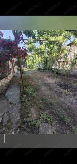 Casa centru Daneti, 80mp, curte si gradina 3.000 mp, apa + curent - 5