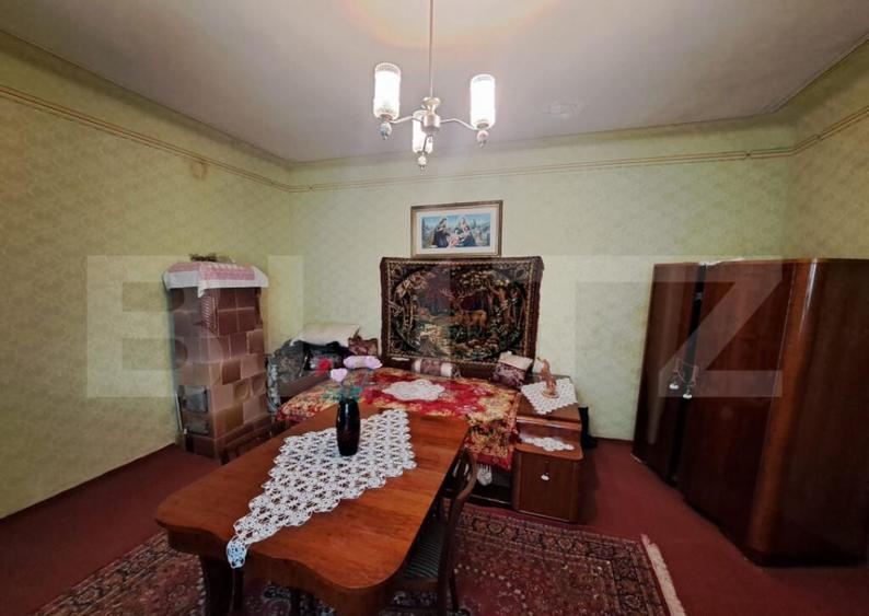 Casa individuala de vanzare in satul Zizin, jude?ul Bra - 17