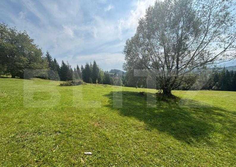 Vanzare teren intravilan de 2 hectare, in Pasul Tihu?a - 10