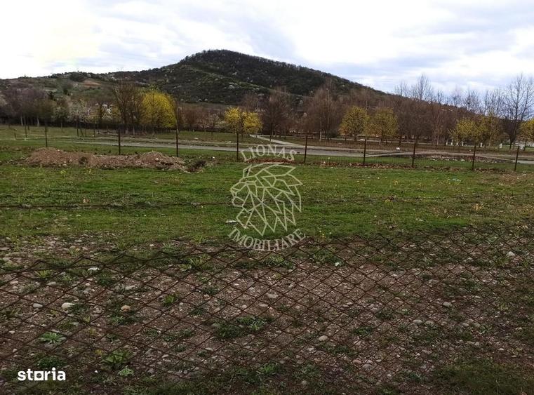 Teren intravilan 1000 mp-ideal locuinte P+4/Hala/Institutii-Viisoara - 3