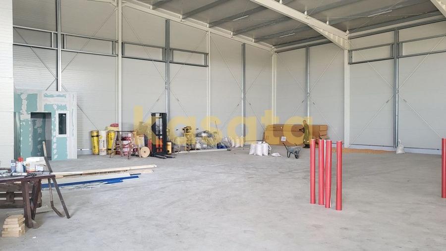 Spatiu de depozitare/productie de inchiriat - Zona de Vest - 3