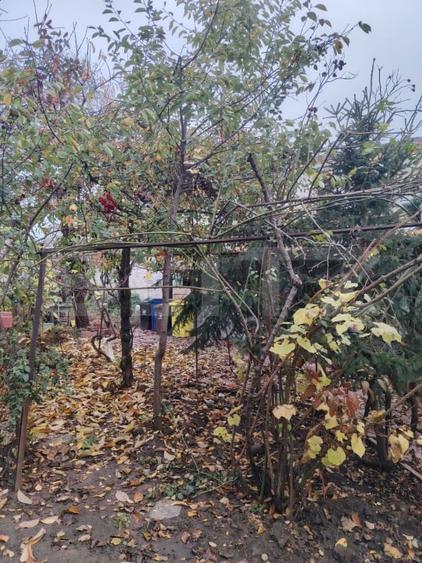 Proprietate in zona Parcului N Romanescu, casa batraneasca si teren de 347 mp - 8