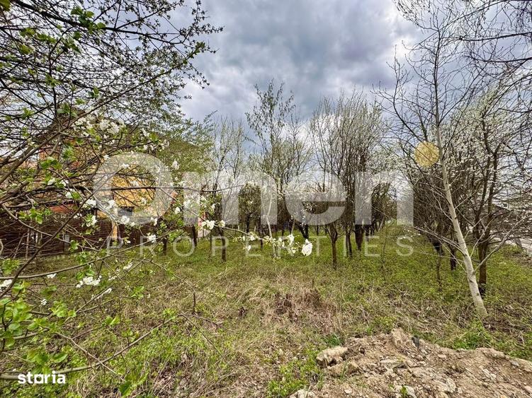 Teren intravilan | 800 mp | zona Marul de Aur | prestabil investitie - 1