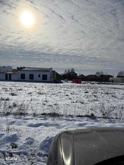 vand teren in domnesti - 2