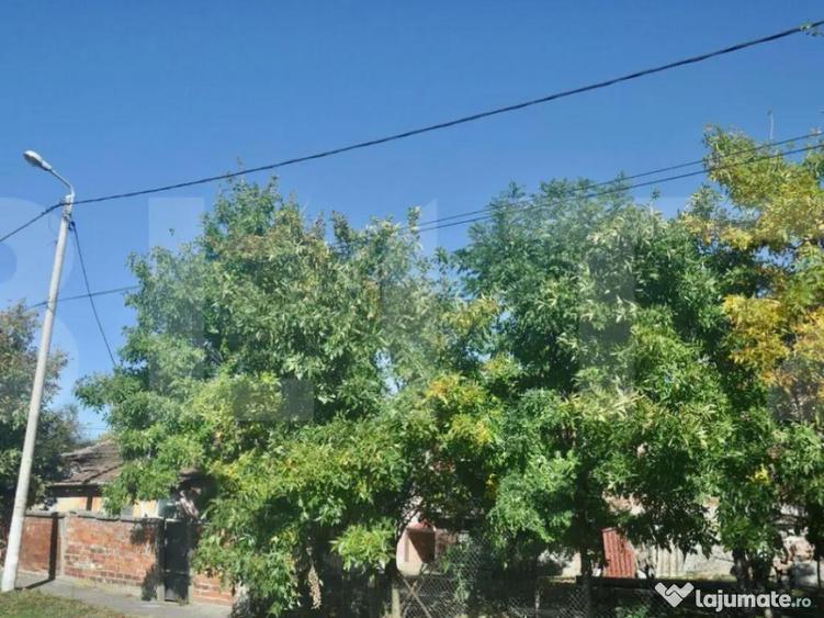 Vanzare Casa / Vila Giroc / Fratelia - 2