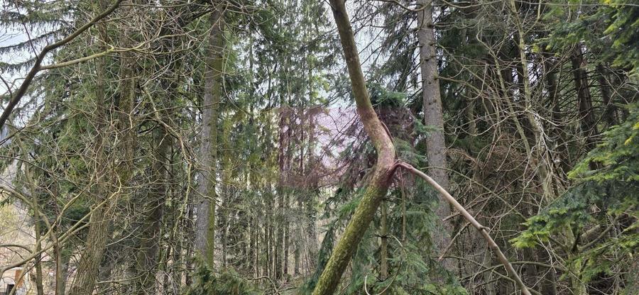 Etaj vilă istorică de vânzare în Sinaia – Zona Furnica - 6