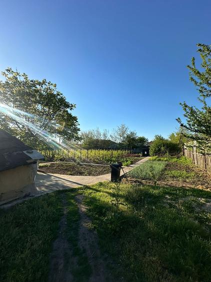 Baneasa, Giurgiu - 4