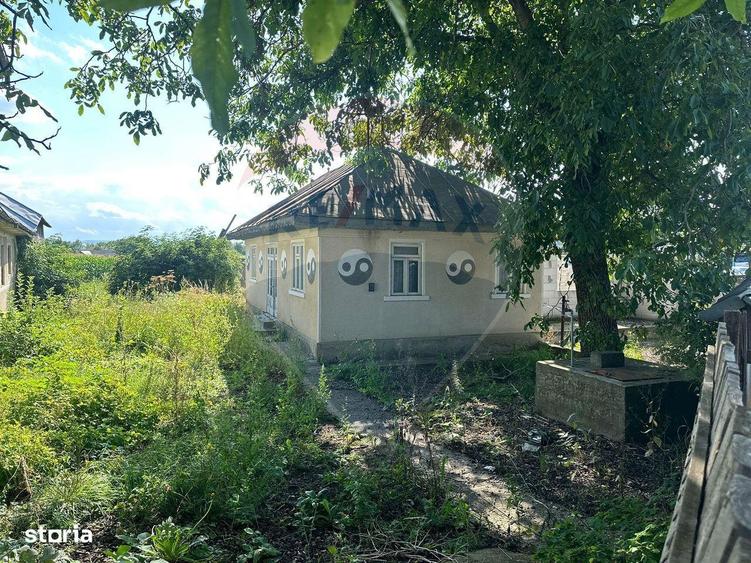Teren intravilan 3.765 mp cu casa Bodesti de Jos - 2
