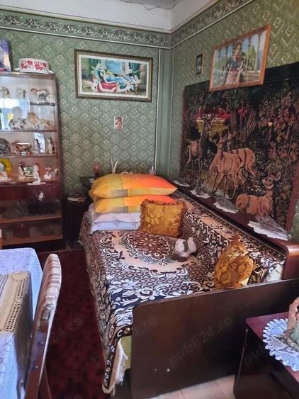 Casa de vanzare in Lapu?nicu Mare - 9