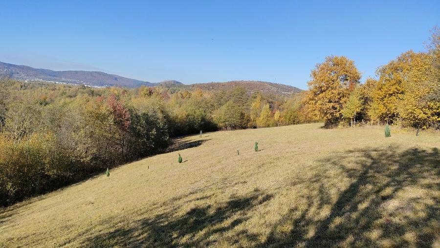 Teren zona Bran Tohanita! - 1