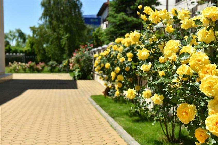 Vanzare vila lux D+P+E teren 3718 mp | piscina interioara si exterioara | Baneas - 9