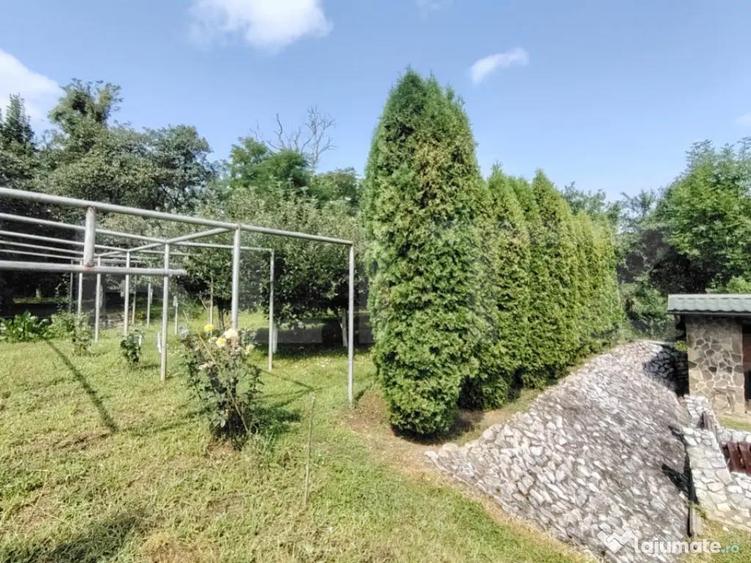 Casa cu mobilier premium ?i gradina spectaculoasa in Ta - 5