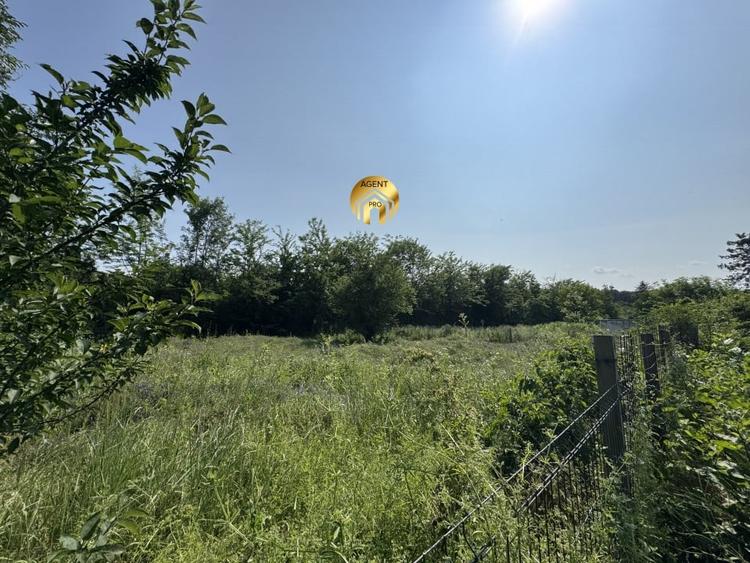 4 X Loturi Teren Intravilan in Saftica – Balotesti |  100m de DN1 - 2