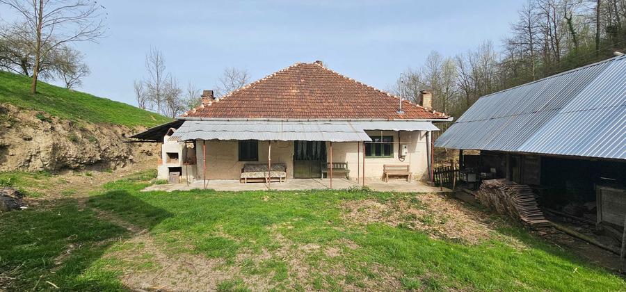 Vand casa cu gradina + padure + teren arabil - 4