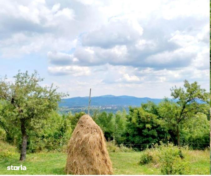 Ansamblu reziden?ial 5 case de vacan?a in Plaiu Campinei, Prahova - 15