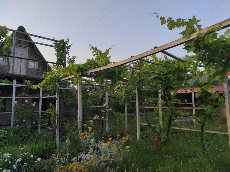 Casuta la mare cu mult teren - 8