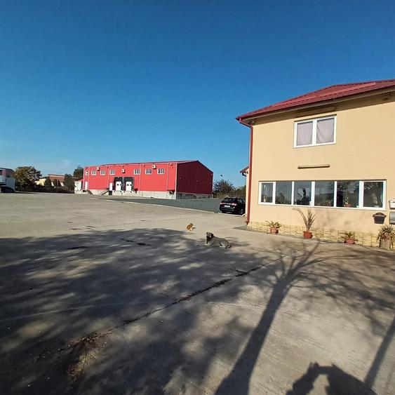 Depozit 600mp Techirghiol - 5