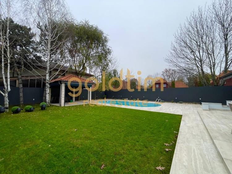 UNICA/ABSOLUT SUPERBA/ VILA INDIVIDUALA/IANCU NICOLAE/CURTE GENEROASA - 102