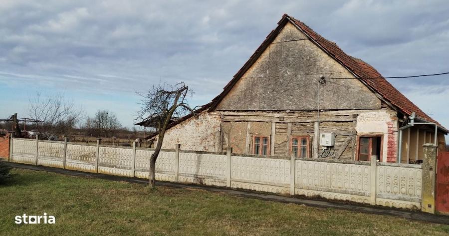 Casa veche din 1955 si teren intravilan 6153 mp, Sinersig,Jud Timis - 4