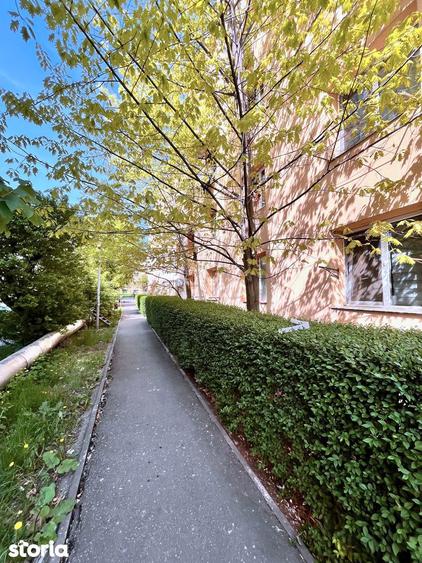 Garsoniera la prima inchiriere etaj 1 str. Cojocnei - 9
