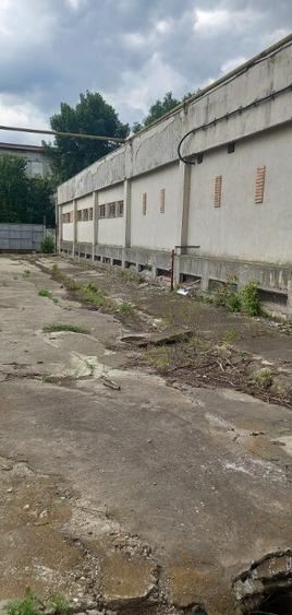 Activ de vanzare la 10 Km de Municipiul Braila ,3 Km de Dunare - 5