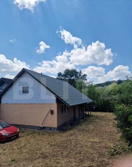 Casa cu 4 camere, 100 mp,si teren 700mp, zona Leoni - 2