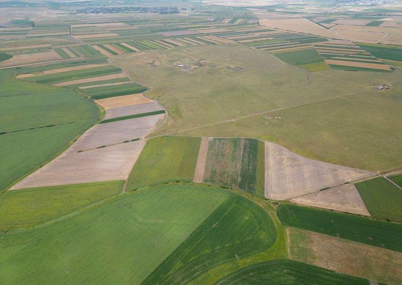 Teren arabil de 1299 hectare in Ia?i - 4