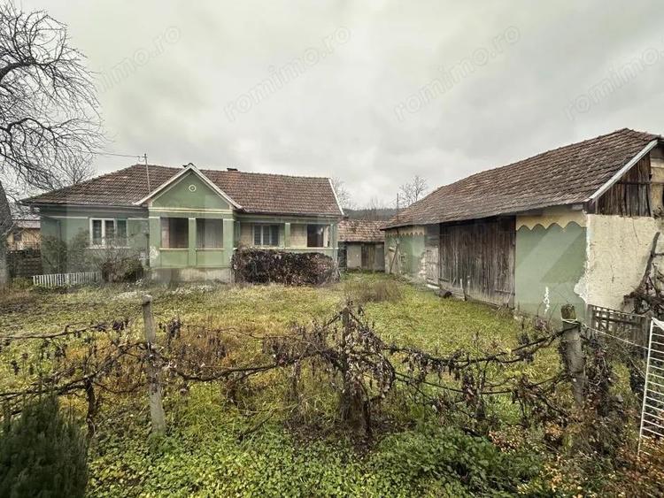 Teren 3000 mp + 2 case de vanzare-Ca?eiu - 5