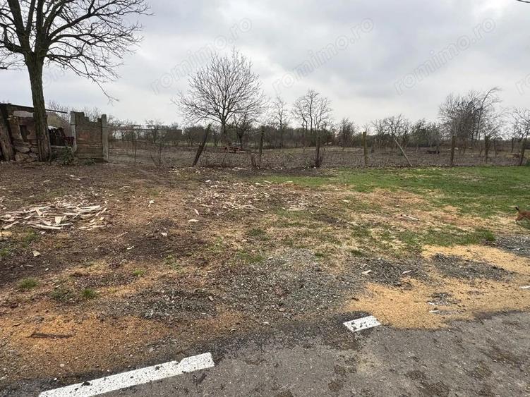 Teren Intravilan Becicherecu Mic 598mp,Utilitatile In Fata Parcelei,Asflat - 2