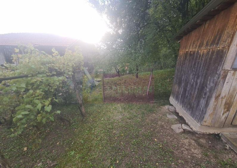 Casa batraneasca cu teren (4.910 mp) la Alunis - 15