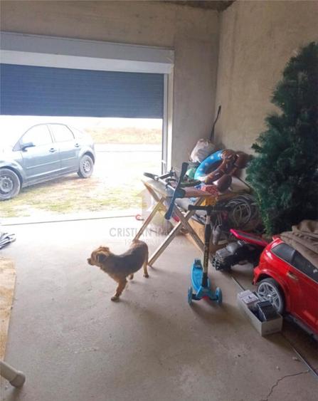 VILA P M, Cazasu, caramida, Teren - 500 mp - 9