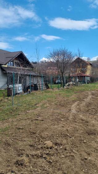 Teren de vanzare - 8