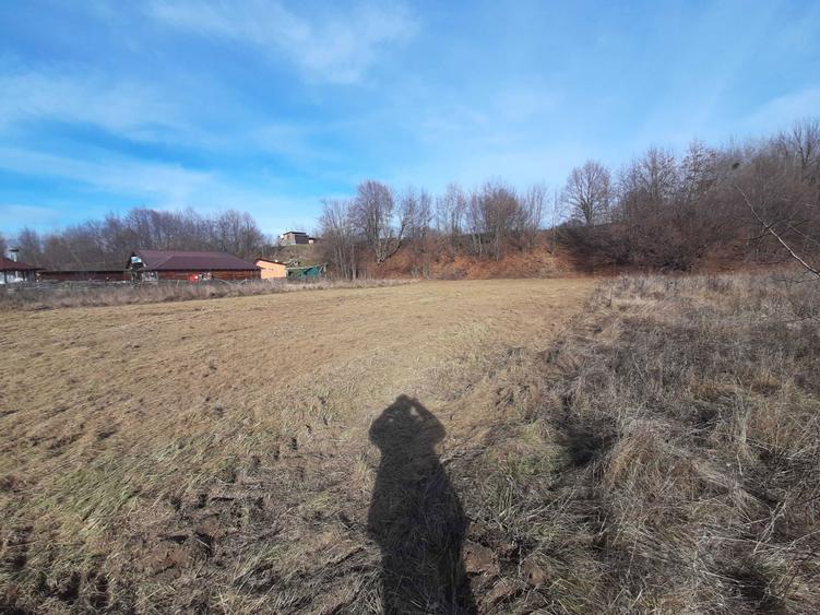 Teren 5000 mp extravilan, langa Pastravaria Cracaoani, 4 euro neg - 1