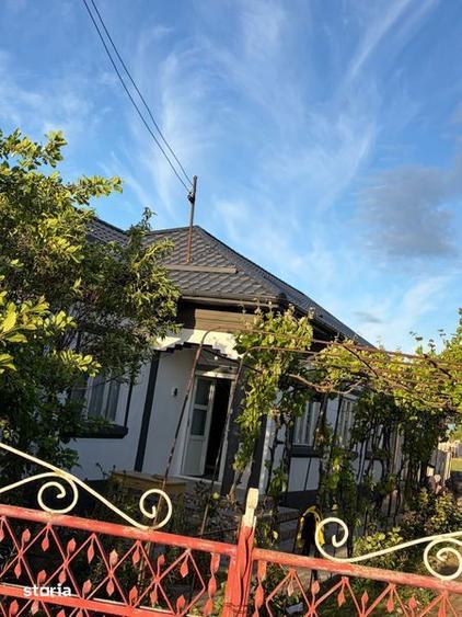 Casa de vanzare in Satul Branet - 8