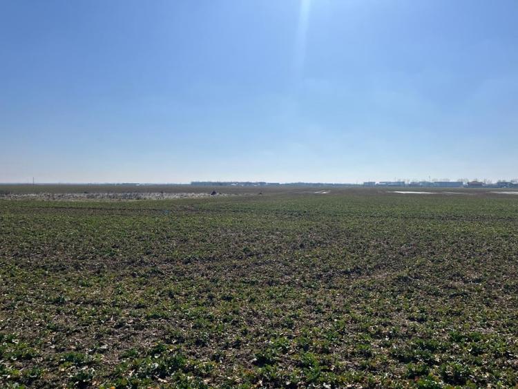 Teren intravilan, 5000 mp, zona Peugeot - 2