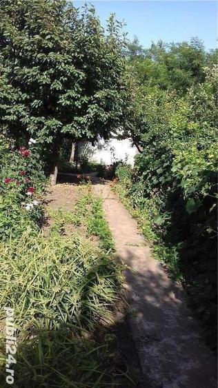 Casa cu teren in suprafata de 6.800m2 - 3