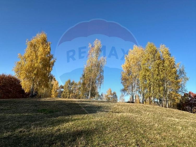 Oportunitate de investiție ! Teren de vis în Pestera - 125.370 mp - 15