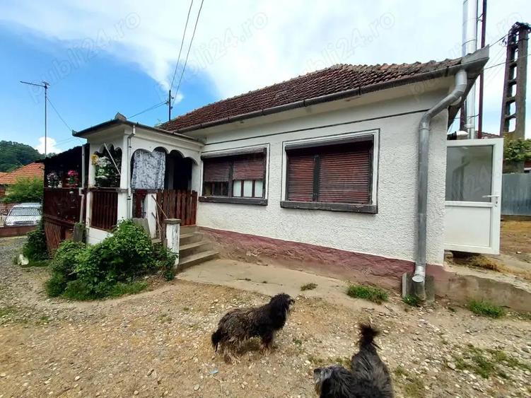 Casa renovata cu teren 7000mp la 19 km de Deva Sat Nojag, Hunedoara - 3