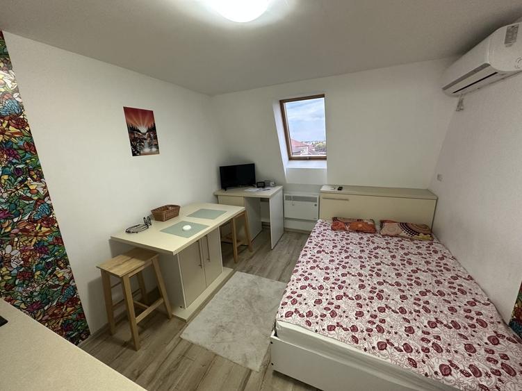 Apartament 1 camera la Mansarda - 6