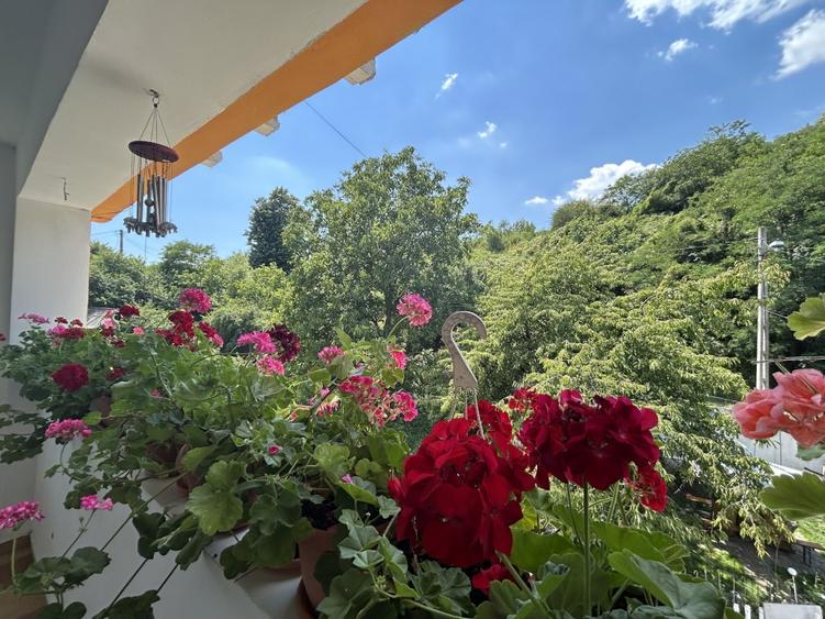 VAND O VILA IN PADUREA DIN FILIPESTI - 13