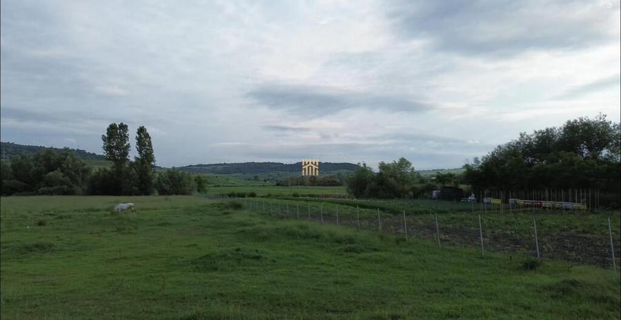 Teren 3953 mp Falticeni Tarna Mare De 0727817187 - 14