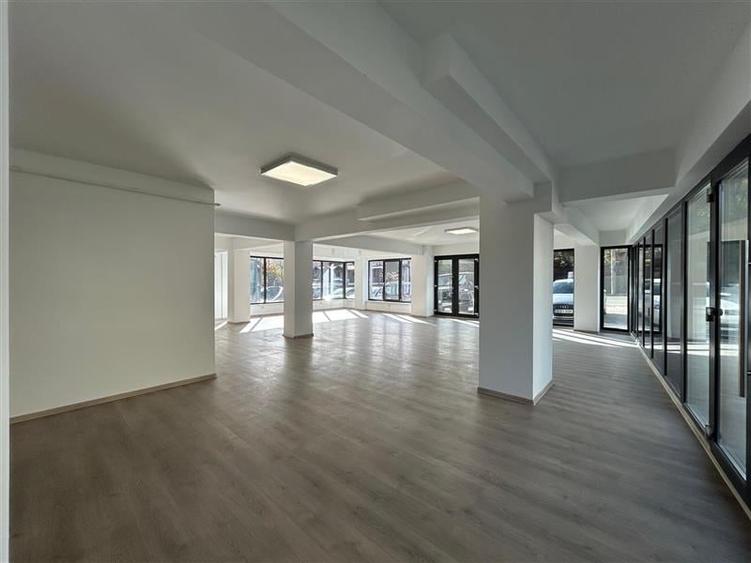 Spatiu Comercial Complet Renovat Elena Doamna - 3