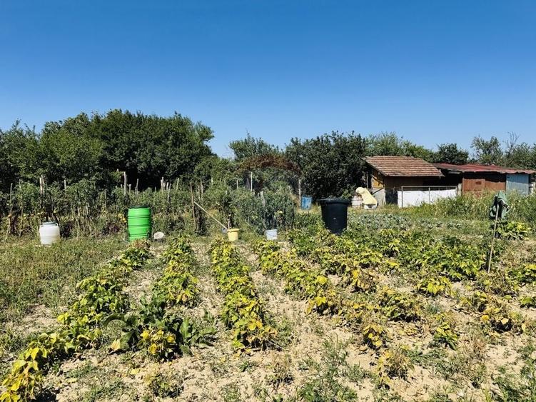 Teren 6,210mp Apateu / Strada Principala - 24