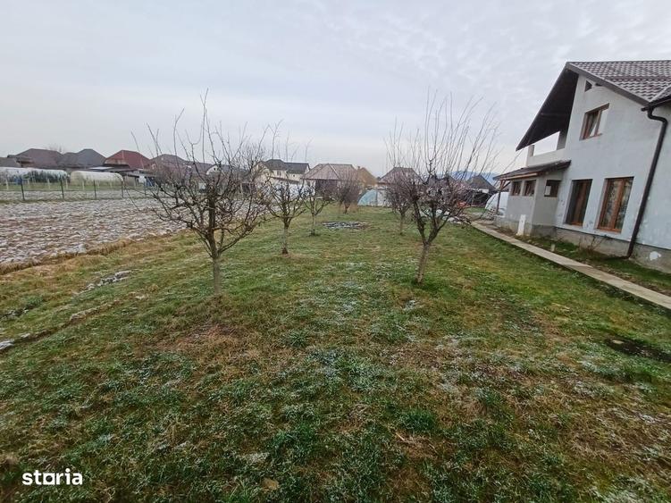 Mocira, casa noua, 7 ari teren - 3