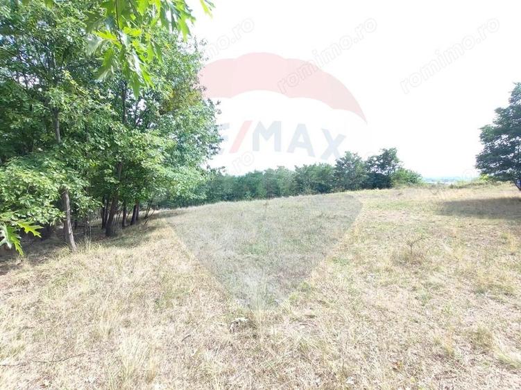 Teren intravilan - 1