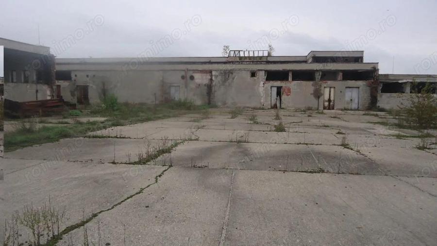 Hala depozitare / produc?ie, 10000 mp - 1